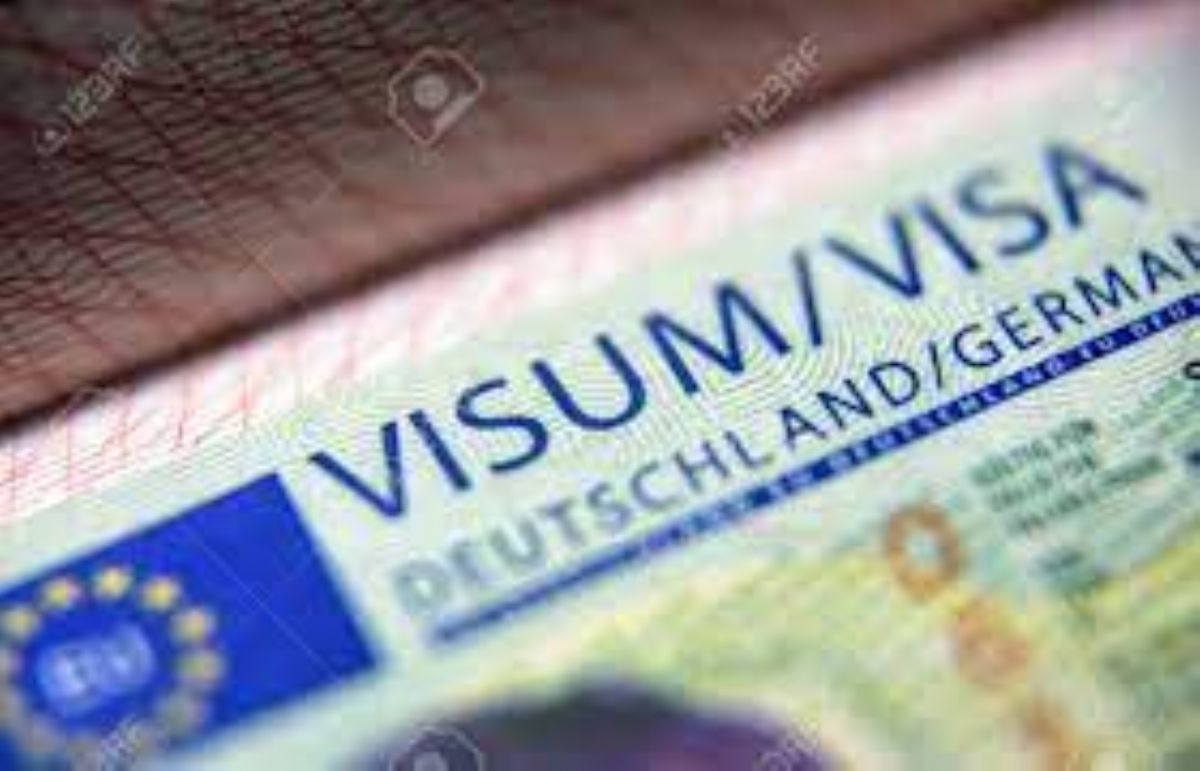 Vize Danmanlk 